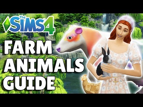 Complete Farm Animals Guide [Birds, Rabbits, Chickens, Cows, Llamas] | The Sims 4 Cottage Living