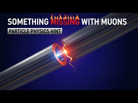 Muons Keep Exposing a Crack in Physics