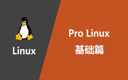 【Linux入门教程】Pro Linux 基础篇