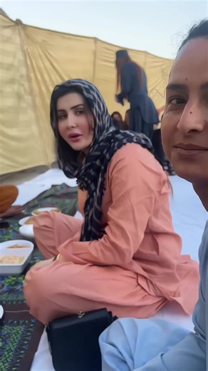 Dolphin Ayan: A Touch of Joy