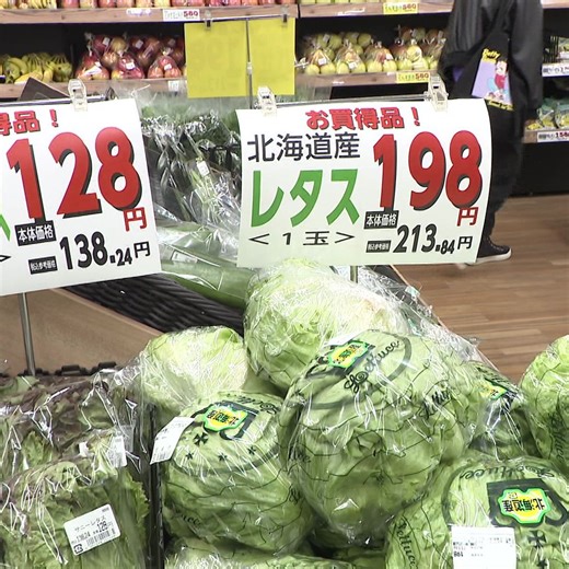 【最新野菜価格】春を迎え北海道産の野菜がスーパーに！いま賢く野菜を買うポイントを紹介―主食のコメは値下げ傾向も…食品の値上げラッシュで4月からはあの商品が値上がりに（北海道ニュースUHB）