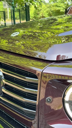 MONO ALEX στο TikTok