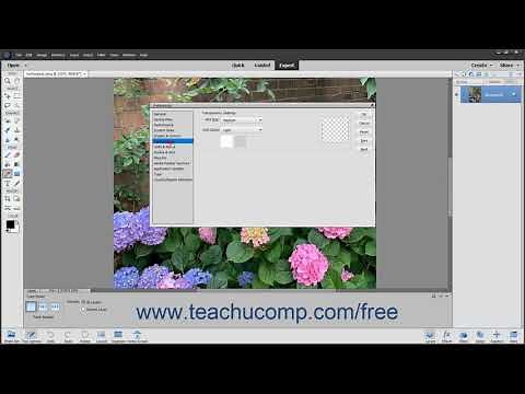 Photoshop Elements 2020 Tutorial Setting Preferences Adobe Training