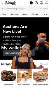 We definitely DO condone shopping on MorphMarket! | MorphMarket