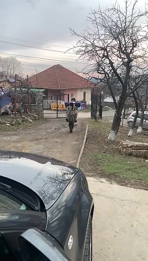 Safe Dirt Bike Riding Techniques for Beginners