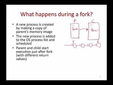 Operating Systems Lecture 3: System Calls for Process Management