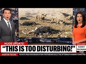 Texas’s Wild Hog Eradication Footage Reveals the Aftermath Nobody Expected