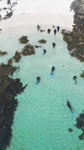 There’s still a few spaces left on our Spring Island Adventure in June and July. A 5 day tour based in Oban and a firm favourite of Team BSS. Sharks, seals, puffins, Fingal’s Cave, waterfalls, whirlpools and more! Go grab the remaining spaces while you can and have yourself an adventure to remember 😎 #adventure #wildlife #boatlife | Basking Shark Scotland