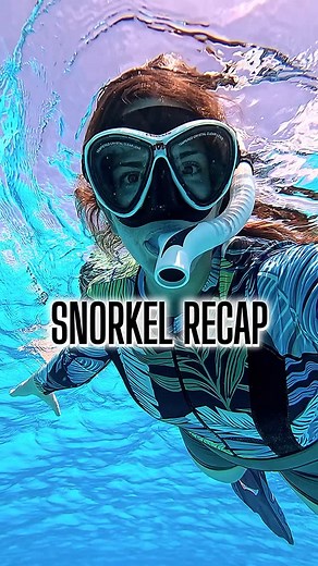 Clarke has a friend!! And, finally got the garden eels at Bigej on the GoPro. Loved seeing all these fun sea creatures. 🤿 Can’t wait to show you what the sea cucumbers are doing in the next snorkel recap! #weekly #snorkel #recap #bigej #kwajalein #marshallislands #sealife #reels #underwater #adventure #gopro #grabyourmaskandfins #garden #eels #snorkeling #lagoon #ocean #fish #friends | Lexie Brown