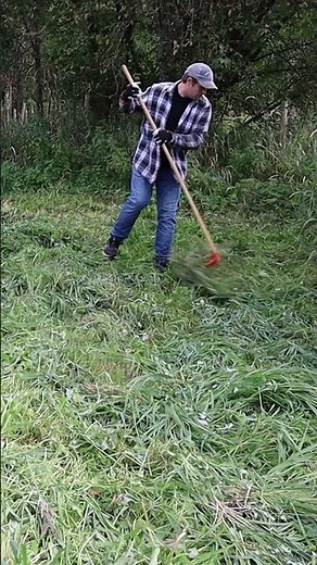 Old Norwegian method for drying hay