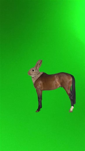 hello mate it's a ta for 😁😚😉💔💔🙂😗😗😗😂😂😂😅🥰🎒🎒🤩 #anime #music #animeedit #foryou #song #originalversio