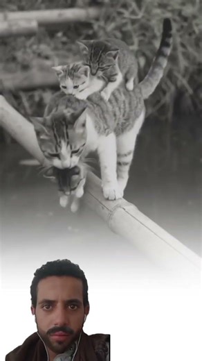 حنانُ الأم.. هو القطعة الوحيدة التي تبقت لنا من الجنة على الأرض #shorts ​#youtubeshorts