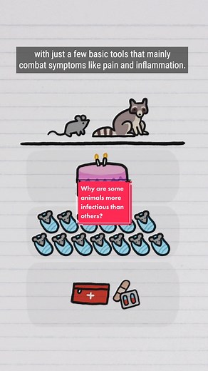 Why are some #animals more #infectious than others? #pandemic #zoonotic #science