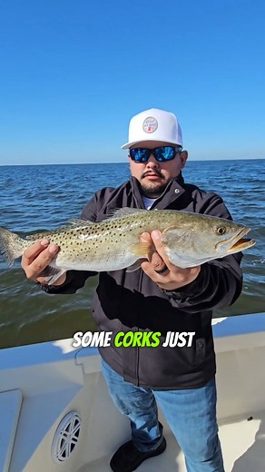 Top 3 inshore fishing rigs you NEED to USE! 🎣 Catch more snook, redfish & trout with these simple rigs! LET'S GOO! #fishingtips #inshorefishing #tampabayfishing #fishingreels #fishingforbeginners | Chris Canning