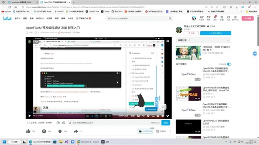 《一起学OpenFOAM,入门到随缘》-01 安装及编译