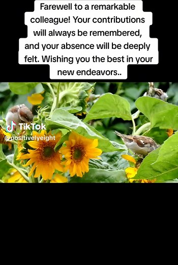 Heartfelt Farewell Quotes for Colleague - Remembering Your Contributions