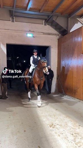 Discovering Quiwi’s Charmeur at Hengste in Bern 2026