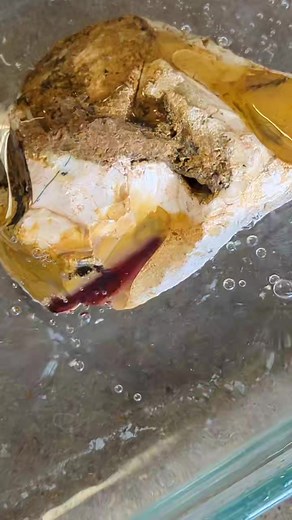 Mookaite (opalized jasper) Bubbles! | Nature's Treasures Texas