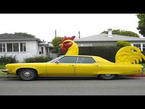 3, 2, 1...Go! animal shaped car