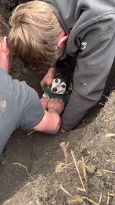 24K views · 572 reactions | Statement Marine on Reels | Facebook