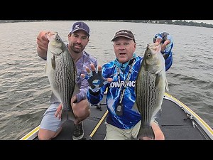 FOX Sports Outdoor SouthEAST #26 - 2019 Lake Conroe Texas White Bass/Hybrid Fishing