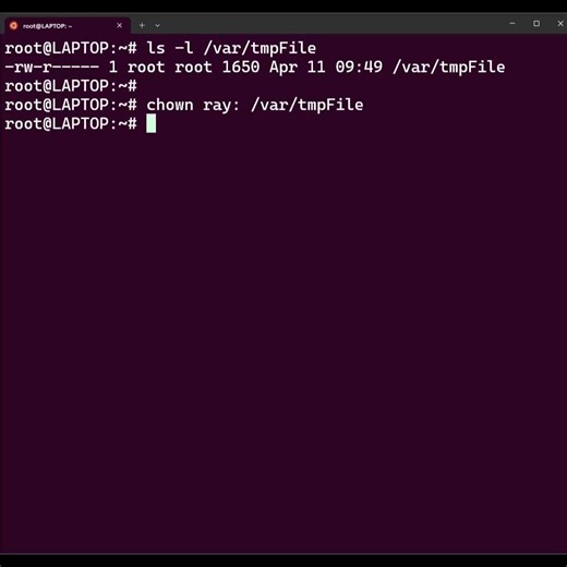 Linux Bash Tip | chmod