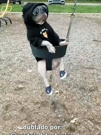 Dublagem de Animais: Vídeos Engraçados com Pets