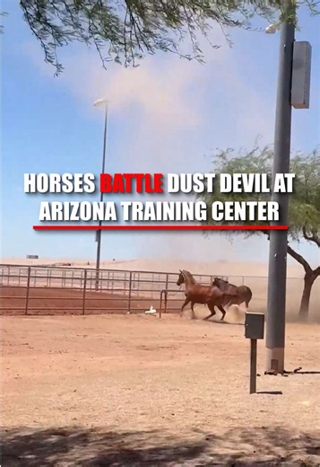 A large dust devil whipped through Arizona startling two horses tied in the hitching area as debris and a trash can were swept into the air. Hailey Anderson, who filmed the whirlwind forming at the training center, said the sudden microburst-style dust devil developed and passed through within seconds, catching both her and the horses off guard. Anderson said no horses or people were hurt during the incident.