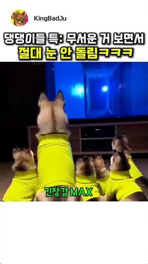 무서운거 보면서 절대 눈 안돌림