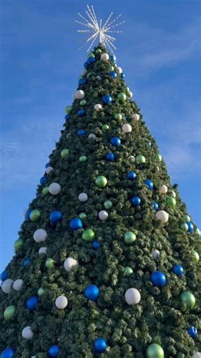 Westfield in Lights is happening NEXT weekend at Grand Junction Plaza! 🎉 Join us on Saturday, December 6 from 3:00 - 6:00 p.m. as we kick off the holiday season and light the tree together! 🎅🏼🎄 This community celebration is packed with ALL these things and more - pictures with Santa and Mrs. Claus, Ice Ribbon sessions, miniature horses and llamas, carnival games, crafts, hot chocolate stands, food and beer vendors, and tons of festive fun for all ages! Tag your Westfield in Lights crew and v