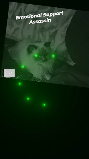 11 reactions | Her name's Lucy. Short for Lucifer when provoked. 刺 #ManyMen #50cent #hippieyogaballerina #flexxxyfairy #hernameslucy #fluffwithintent #vibeprotector #goddessenergy #lioness #manifestingmuse #emotionalsupportanimal #divinefemine #SacredRebellion #catmom | Alisia Nelson | Facebook