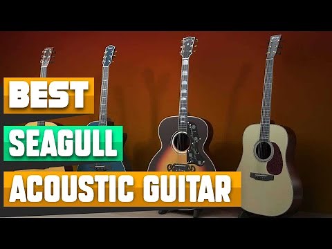 Top 10 Seagull Acoustic Guitars : Best For Ever!