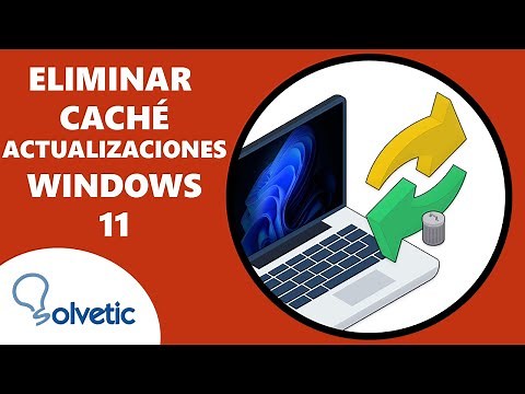 Delete Windows 11 Update Cache ✔️ Windows Update