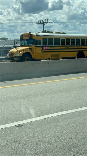 Broward County’s 2018 Blue Bird Vision #518013