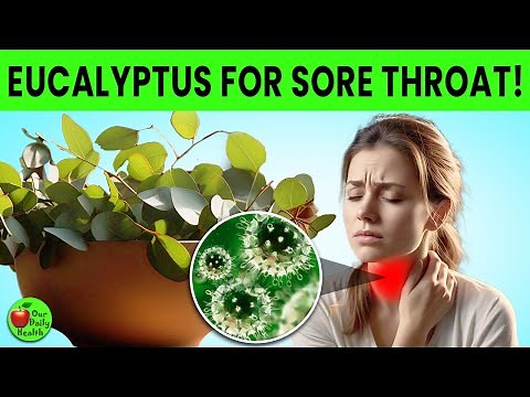 Eucalyptus Benefits | Top 7 AMAZING Health Benefits of Eucalyptus! 🌿💧