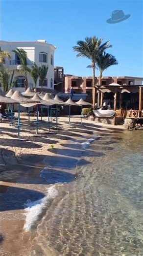 The Caribbean Bar with a Stunning Sea View 🌊🍹 #shorts ⭐