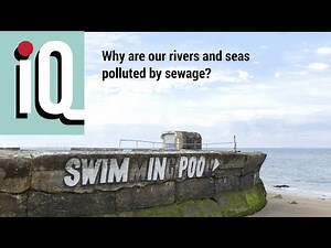 Why are our seas and rivers polluted by sewage? | LSE iQ Podcast