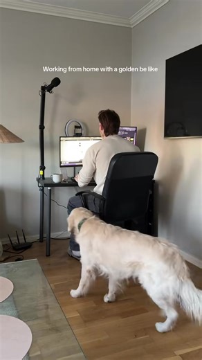 Working From Home: Build Your Business