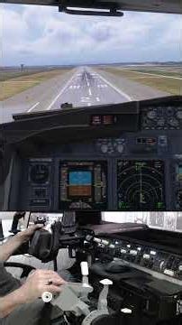 MSFS 2024 Landing Pisa #flightsimulator #pmdg #aviation #cockpitview #boeing737 #pilotlife #landing