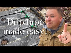 Installing drip tape 💧🌱 All you need to know! #irrigation #dripirrigation #gardening