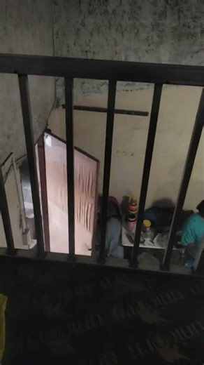 mesamin loopdeck #highlights