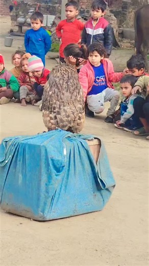 Instagram video by Ajay Nayak • Jan 2, 2026 at 8:25 PM