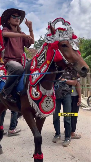 Horses staring #shorts #horseenggong #funny