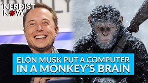 93K views · 569 shares | Apes together strong! Elon Musk and his brain-computer interface start-up Neuralink have reportedly implanted a monkey with a device that lets it play video games in its mind. What could possibly go wrong? And what are the real therapeutic possibilities for Neuralink? Join Dan Casey on today’s Nerdist Now as we break it all down. | Nerdist | Facebook