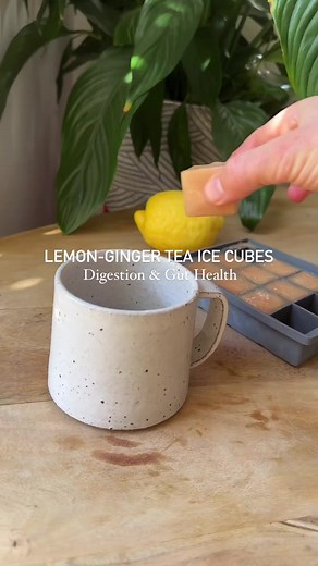 Lemon and Ginger Ice Cubes for better digestion and gut health 🍋 🫚 ‌ Ingredients: 120 g of ginger Juice of 4 or 5 lemons ‌ Instructions: 1. Wash the ginger thoroughly and chop it into small pieces to make it easier to blend. You don’t need to peel it if it’s organic. ‌ 2. Place the chopped ginger into a high-speed blender and add the freshly squeezed lemon juice. Blend until smooth. ‌ 3. Pour the lemon and ginger mixture into ice cube trays and place the ice cube trays in the freezer. Allow th