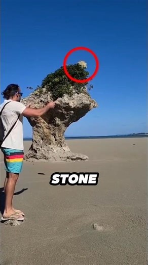 Quicksand Trap That Looked Completely Normal