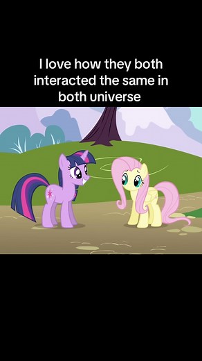 Exploring Fluttershy and Twilight Sparkle Interactions