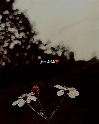 Tere hawale song💫🎧|| zara kabhi meri najar se ❣️❤️|| #shorts #new #virslshorts #lyricsvideo