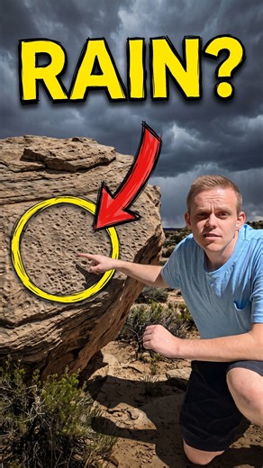 Have we ever found fossilized rain? #fossils #dinosaur