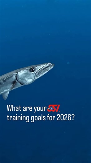 SSI International | New year, new goals! Tell us in the comments what your plans are for 2026? Will you be continuing your education in scuba diving? Learning... | Instagram